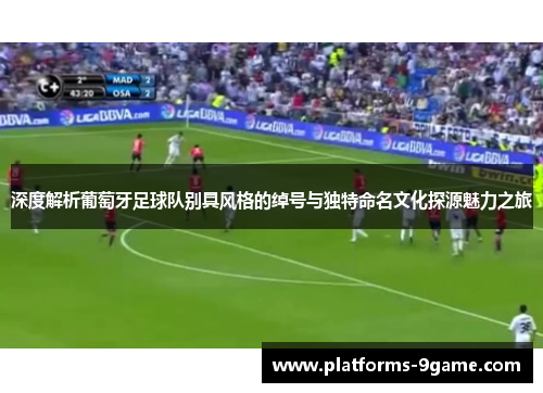 深度解析葡萄牙足球队别具风格的绰号与独特命名文化探源魅力之旅