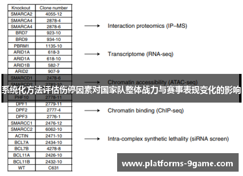 系统化方法评估伤停因素对国家队整体战力与赛事表现变化的影响 系统化方法评估伤停因素对国家队整体战力与赛事表现变化的影响