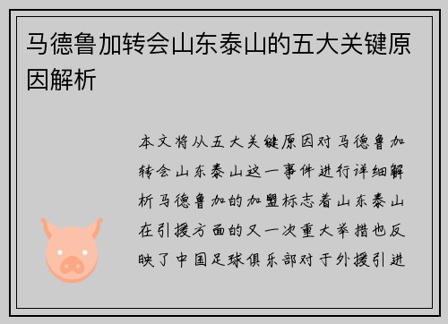 马德鲁加转会山东泰山的五大关键原因解析