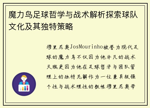 魔力鸟足球哲学与战术解析探索球队文化及其独特策略 魔力鸟足球哲学与战术解析探索球队文化及其独特策略