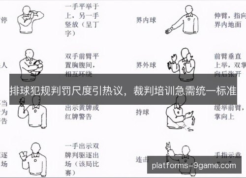 排球犯规判罚尺度引热议，裁判培训急需统一标准